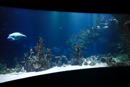 Feel free to mix and match or modify these suggestions to better fit your vision!