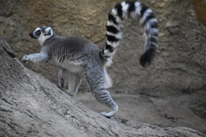 Frame the Moment: Iconic Photography Locations in Portugal