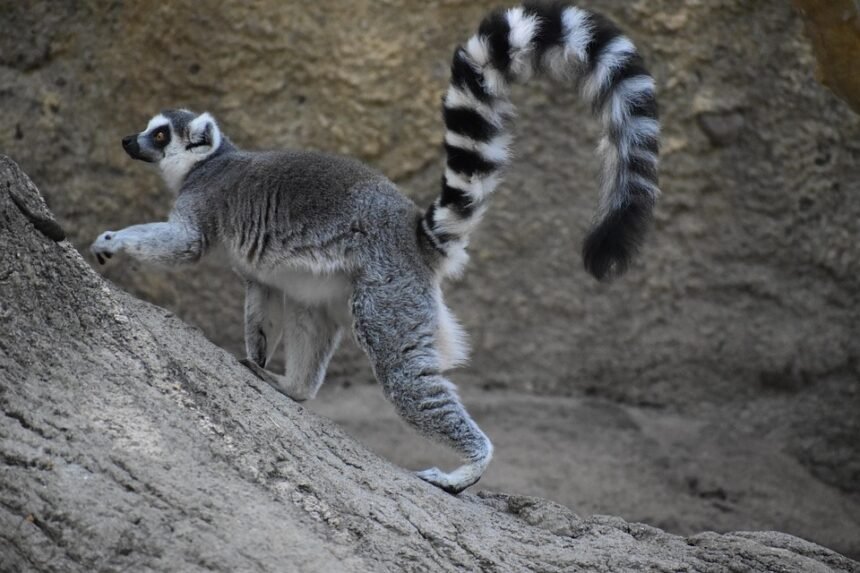 Frame the Moment: Iconic Photography Locations in Portugal