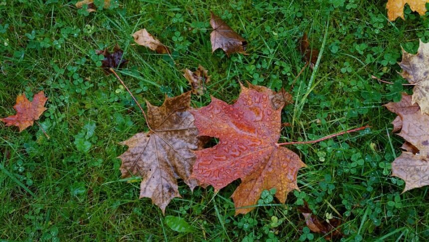 Feel free to mix and match or modify these suggestions to best fit your articles!