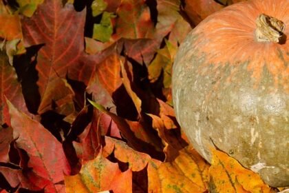 Chasing Horizons: The Most Breathtaking Sunsets in Portugal