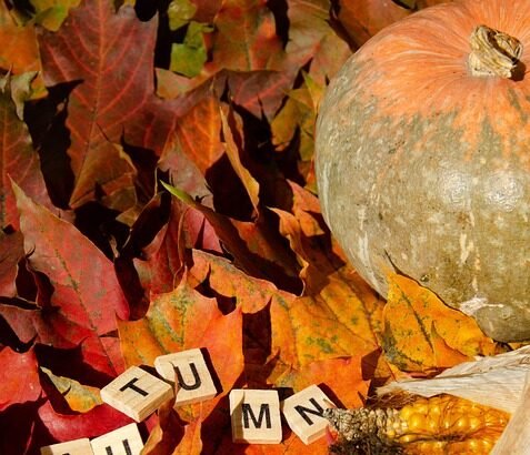 Chasing Horizons: The Most Breathtaking Sunsets in Portugal