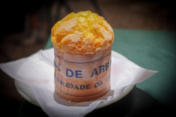 The Sustainable Future of Portuguese Vineyards: Eco-Friendly Practices on the Rise