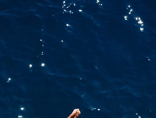 Portugal Below the Surface: Dive Sites You Can’t Miss