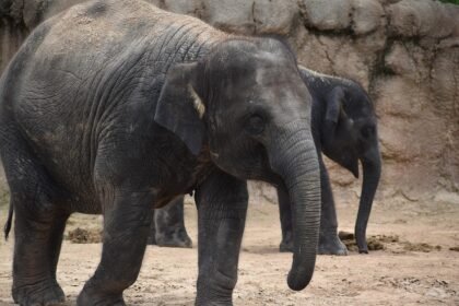 Portuguese Paradise: Must-Visit Instagram Spots for Travelers