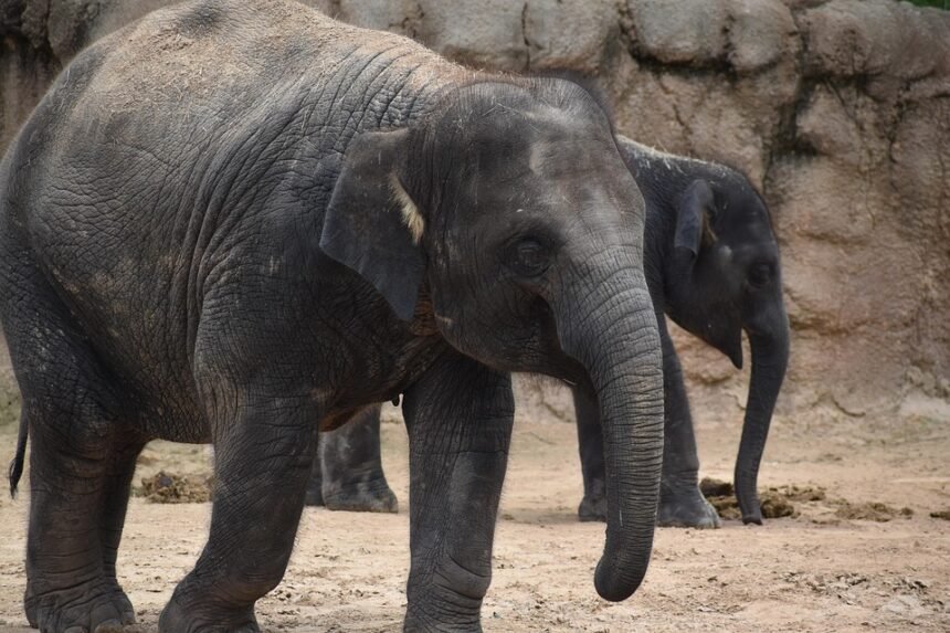 Portuguese Paradise: Must-Visit Instagram Spots for Travelers