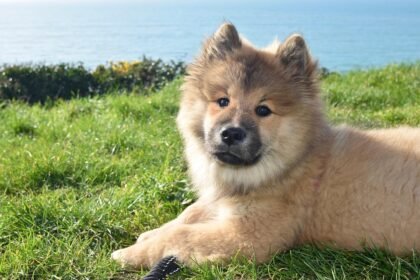 From Lisbon to Porto: A Journey Through Portugal’s Public Transport