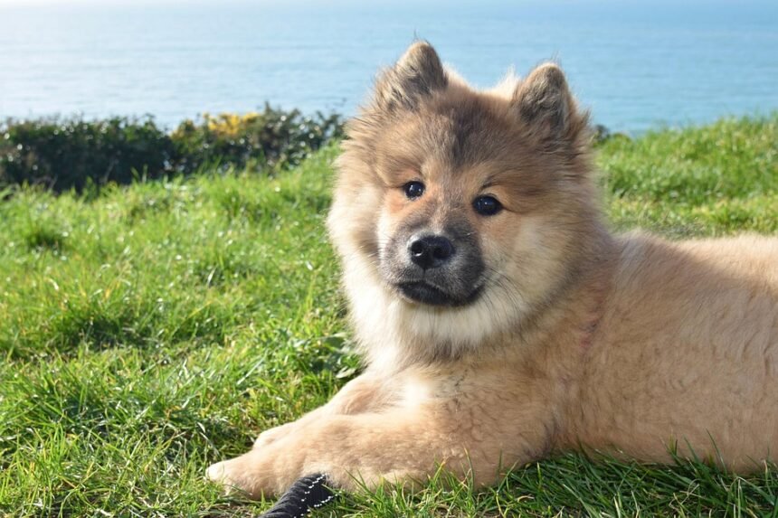 From Lisbon to Porto: A Journey Through Portugal’s Public Transport