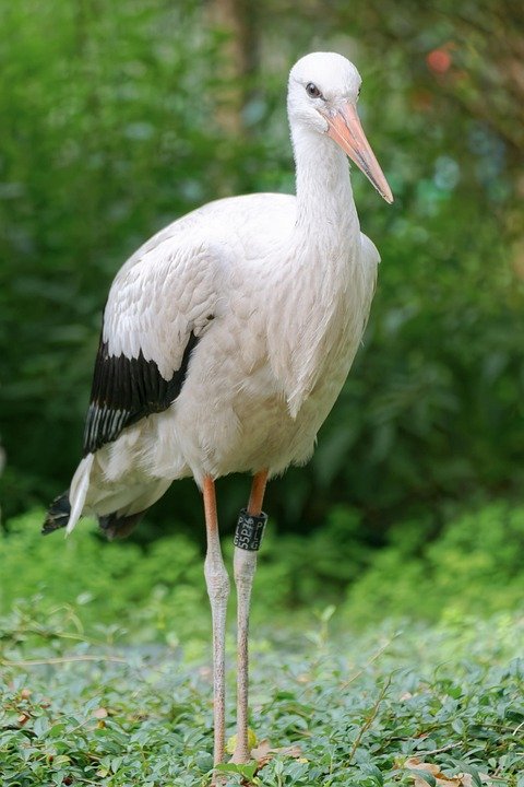 Portugal’s Metro Systems: Getting Around Lisbon and Porto with Ease