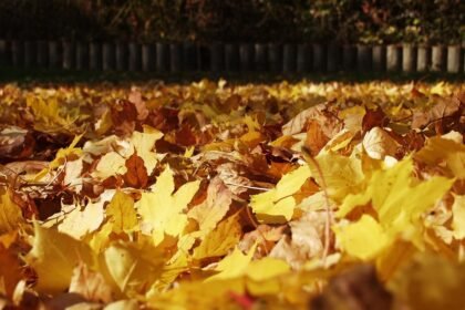 5 Essential Tips for Traveling Around Portugal Like a Local