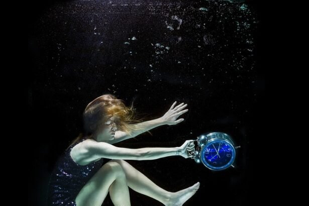 Exploring the Depths: A Diver’s Guide to Portugal’s Underwater Wonders