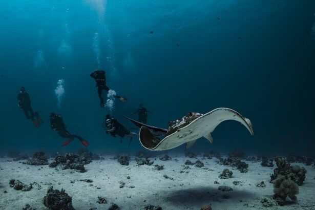 Beneath the Waves: Discover Portugal’s Hidden Dive Sites