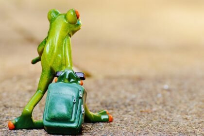 Lavender Fields & Vineyards: Secret Spots for Nature Lovers in Portugal