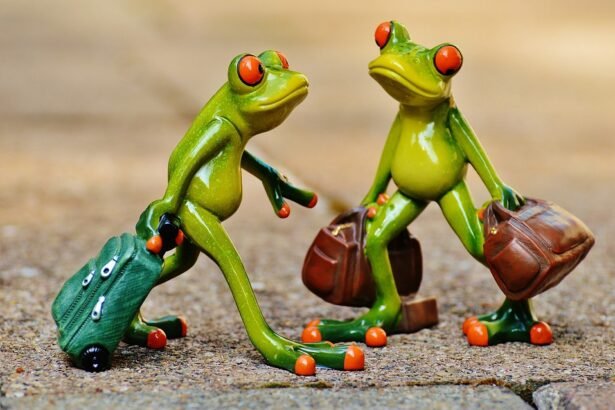 Eco-Tourism in Portugal: Sustainable Travel Adventures Await