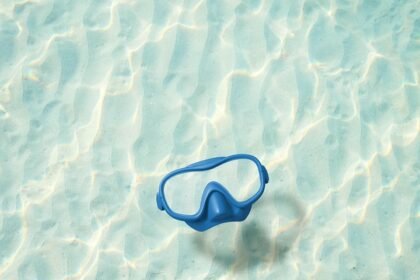 Harvest of Hospitality: The Portuguese Tradition of ‘Apetite’ and Family Meals