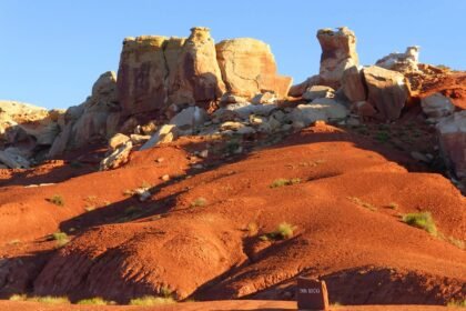 Hidden Gems: Discover Where Locals Dine in Portugal’s Culinary Heart