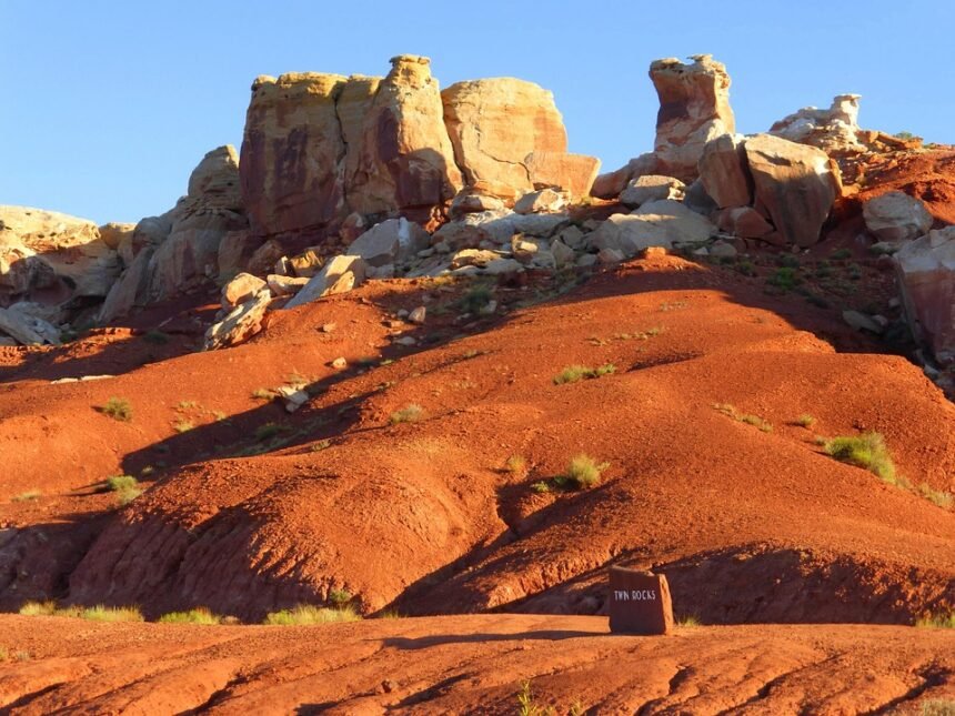 Hidden Gems: Discover Where Locals Dine in Portugal’s Culinary Heart