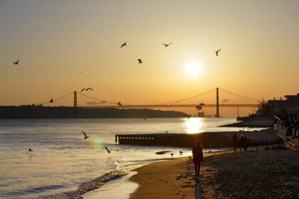 Gastronomic Delights: Portugal’s Unforgettable Food Experiences