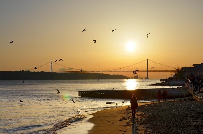 Gastronomic Delights: Portugal’s Unforgettable Food Experiences