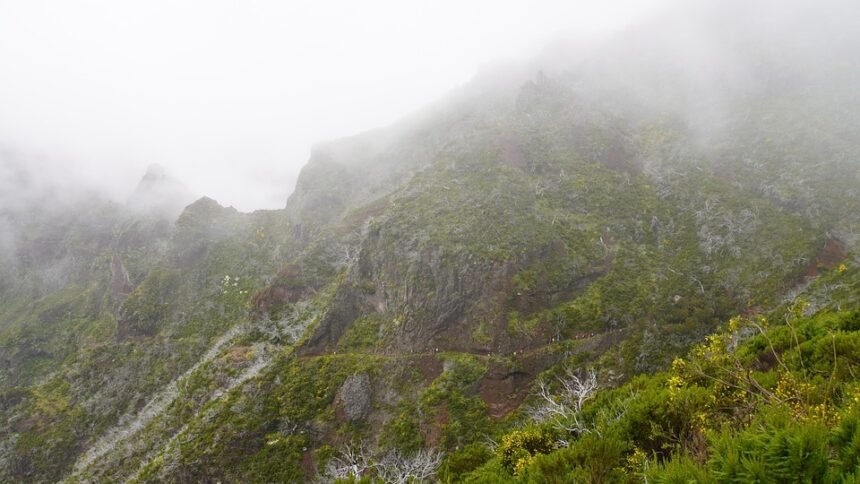 The Rise of Portuguese Wine: How Innovation Meets Tradition in the Vineyards
