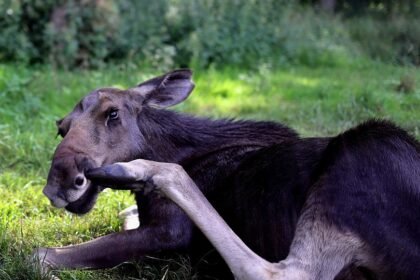 Navigating Portugal: Essential Travel Hacks for a Stress-Free Trip