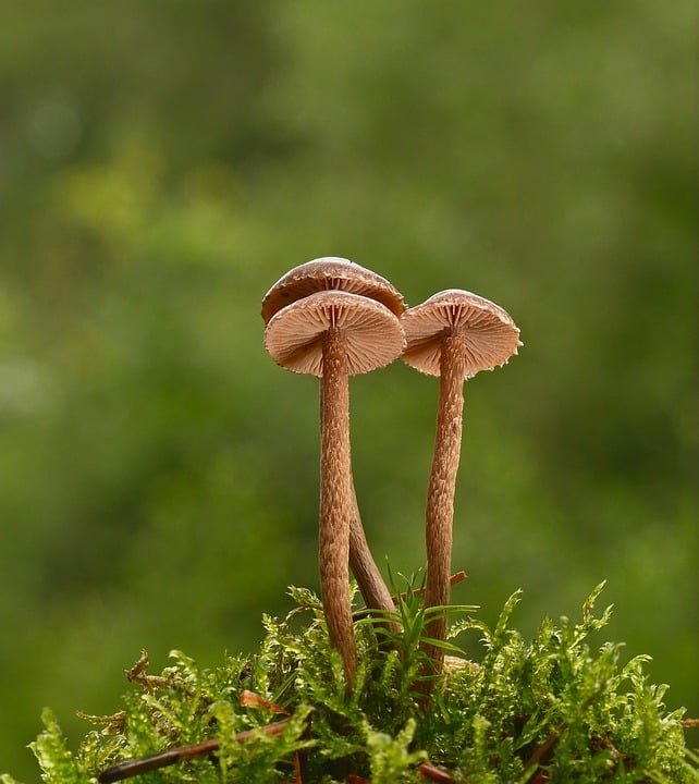 From Porto to Faro: Short Trips That Capture the Spirit of Portugal