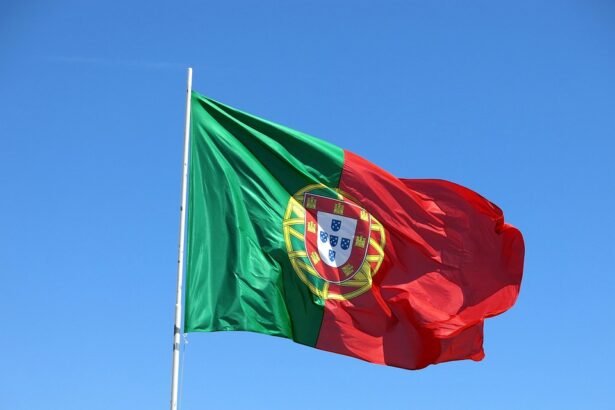 Savoring Portugal: Culinary Delights You Need to Try
