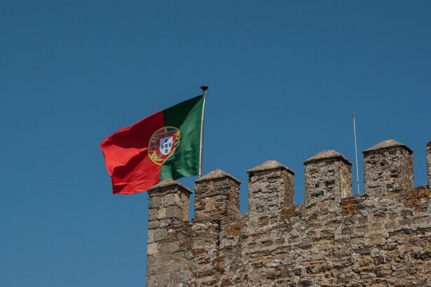Wine and Wanderlust: Curated Wine Tours in Portugal’s Vineyards