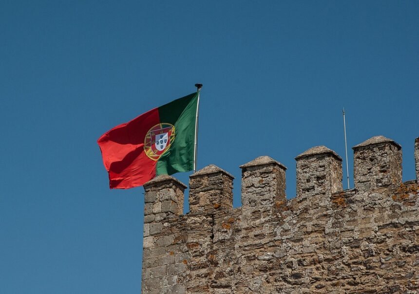Wine and Wanderlust: Curated Wine Tours in Portugal’s Vineyards