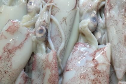 Feel free to mix and match or adjust these suggestions to fit your article’s focus!