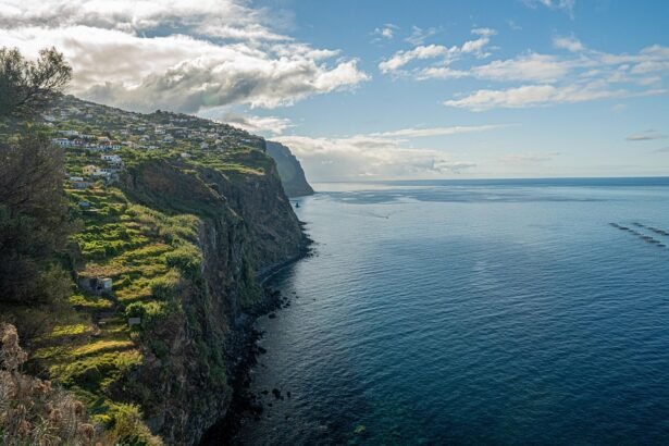Portugal’s Wine Regions: A Toast to the Best Vineyards