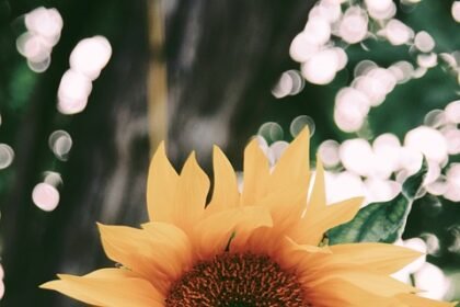 Portugal’s Hidden Gems: 10 Breathtaking Views You Can’t Miss!