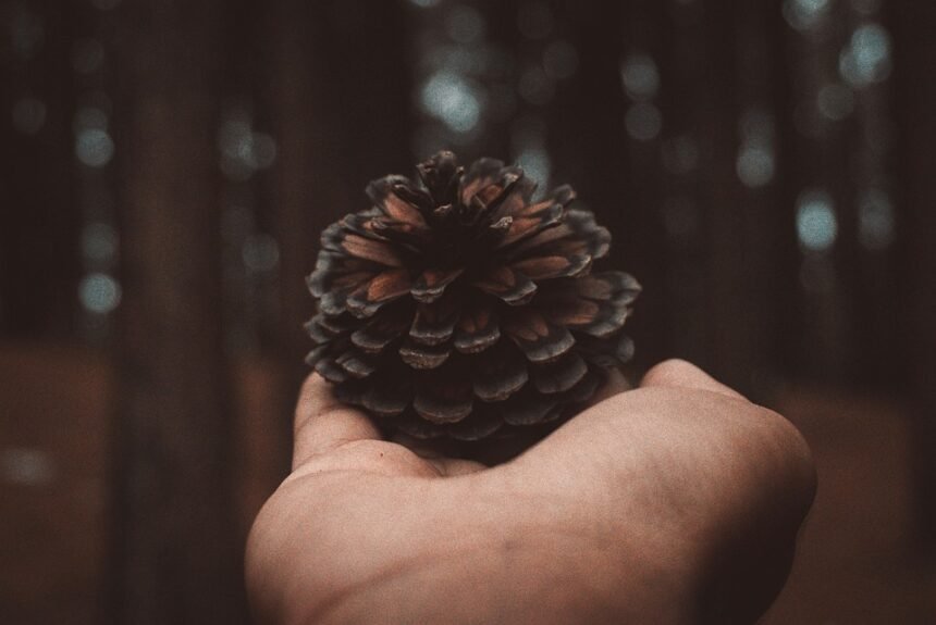 Cascais to Sintra: The Most Instagrammable Locations in Portugal