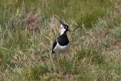 Snap Away: The Most Instagrammable Locations in Portugal