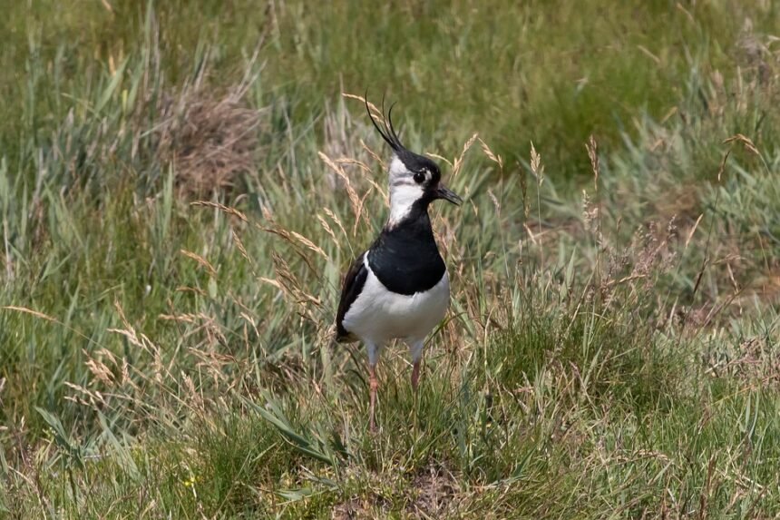 Snap Away: The Most Instagrammable Locations in Portugal