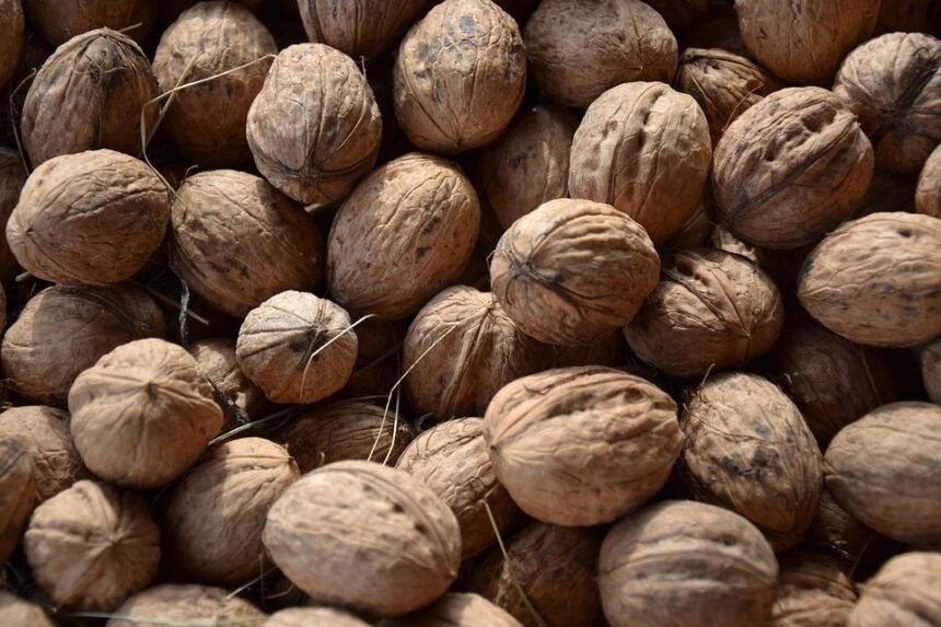 Portugal’s Best-Kept Secrets: Off-the-Radar Towns You Must Visit