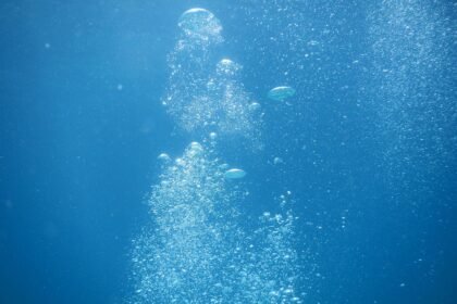 Whispers of Wonder: Portugal’s Under-the-Radar Attractions