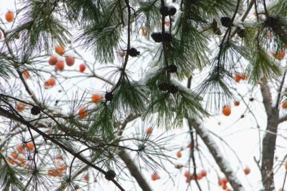 Capturing Portugal: Top 10 Must-See Photography Hotspots