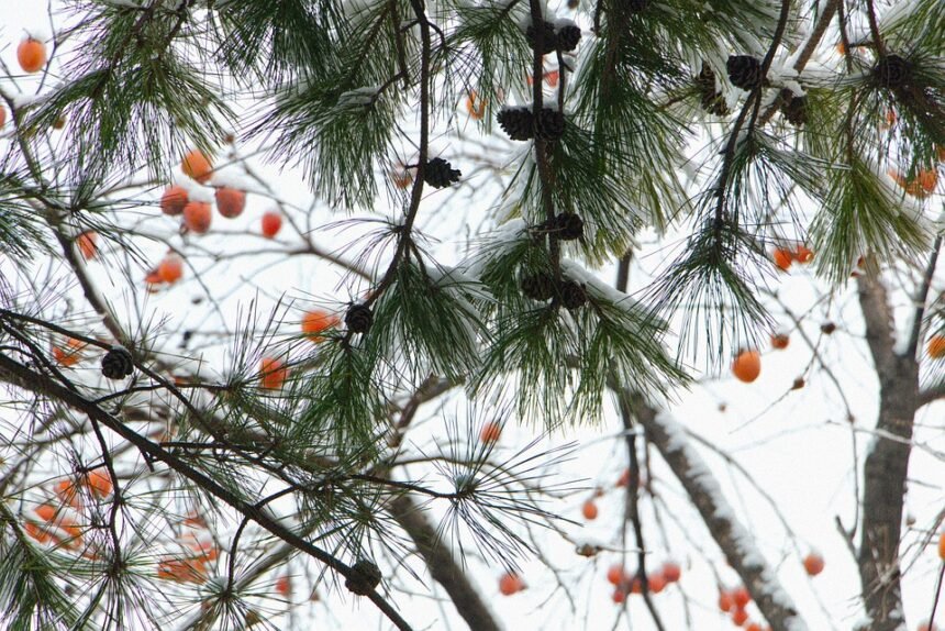 Capturing Portugal: Top 10 Must-See Photography Hotspots